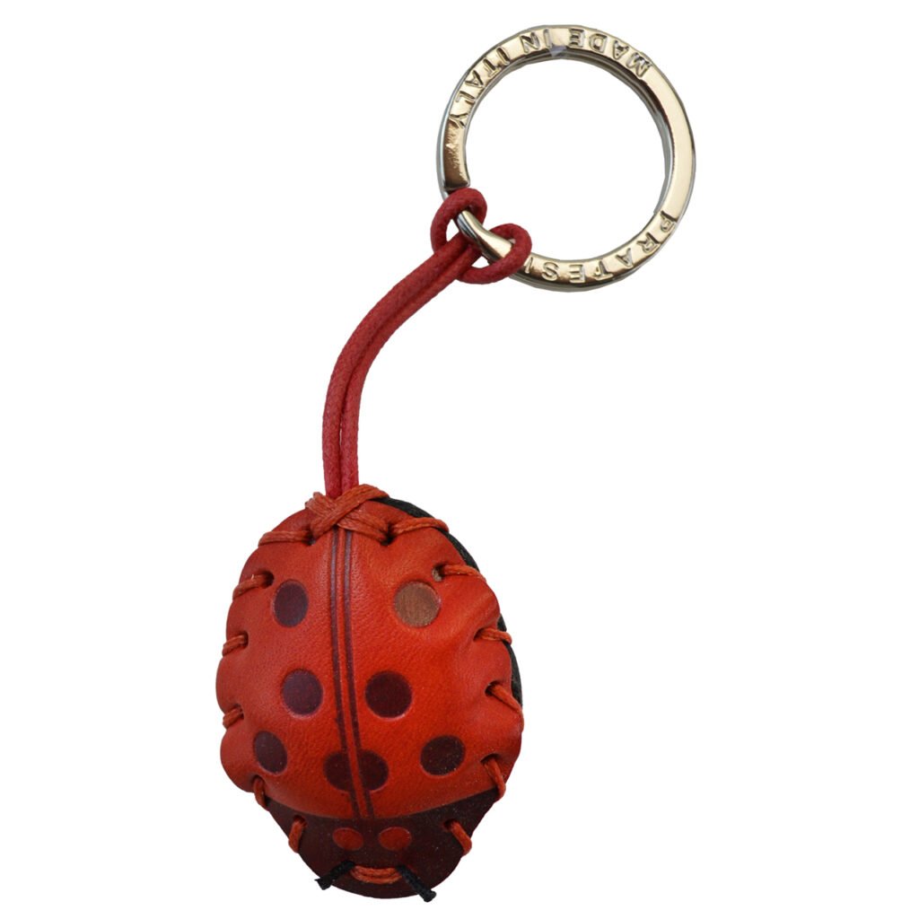 Ladybug