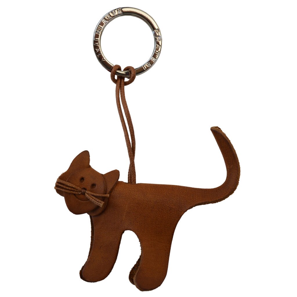 Brown Cat