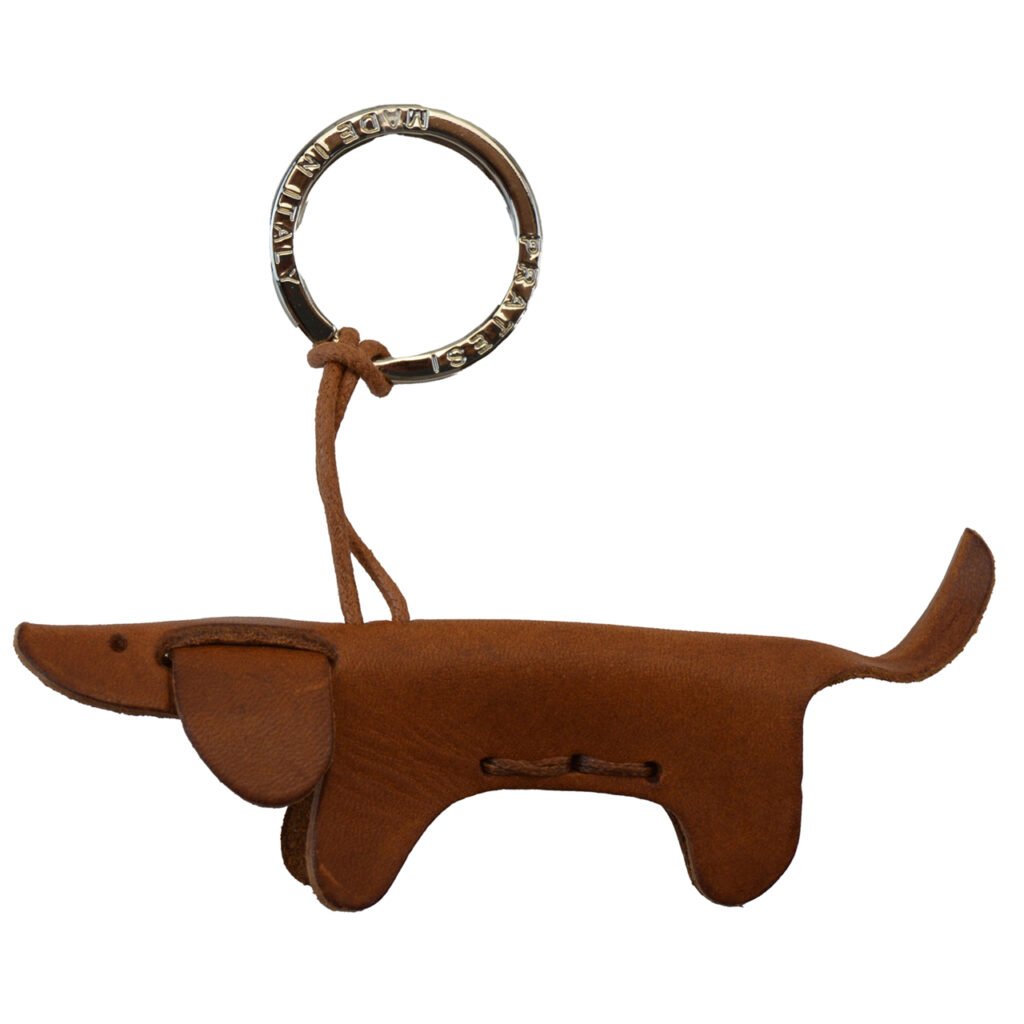 Brown Dachshund Dog