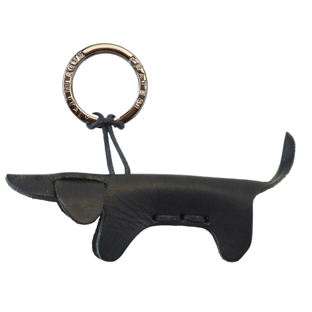 Black Dachshund Dog