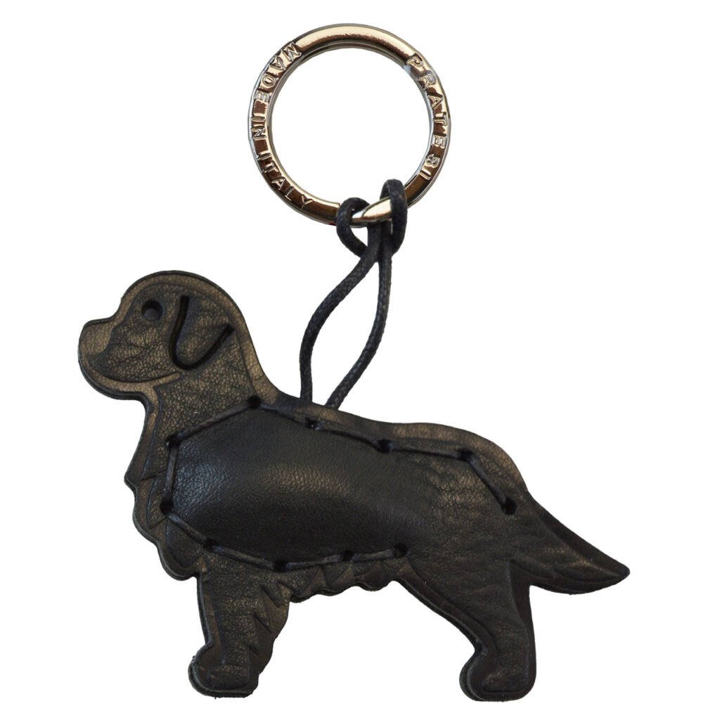Golden Retriever Black Dog
